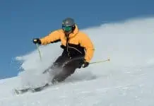 skigaver