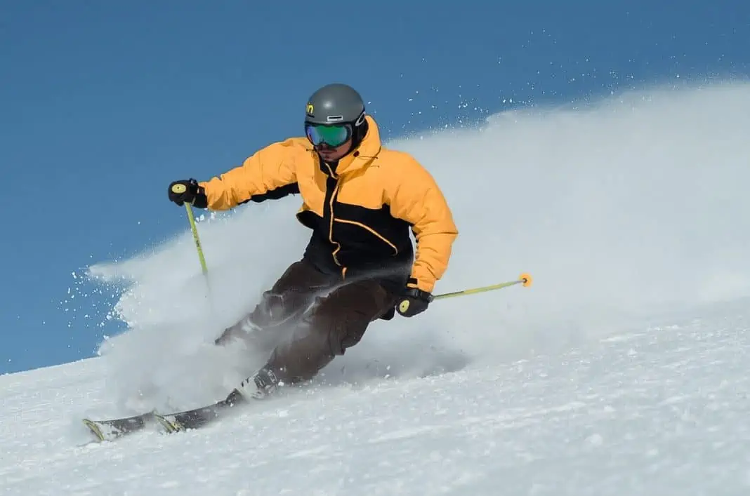 skigaver